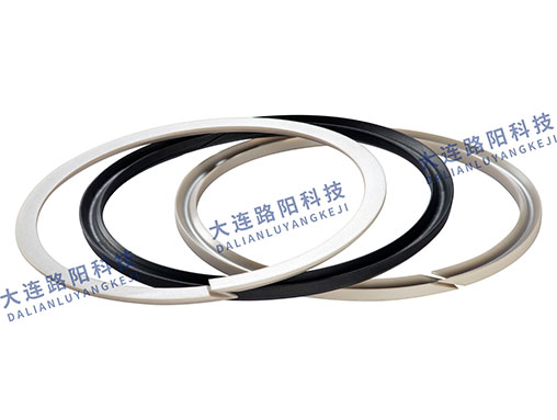 组合密封 Combined seal