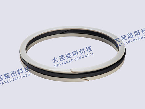 组合密封 Combined seal
