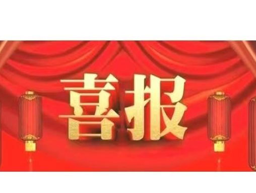 大连路阳科技开发有限公司的“PEEK改性材料及制品制备技术”，被辽宁省 ...