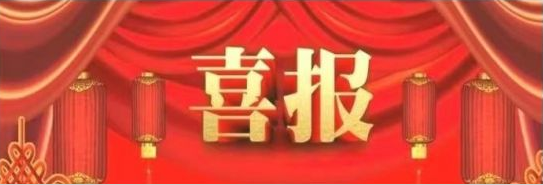 大连路阳科技开发有限公司的“PEEK改性材料及制品制备技术”，被辽宁省 ...