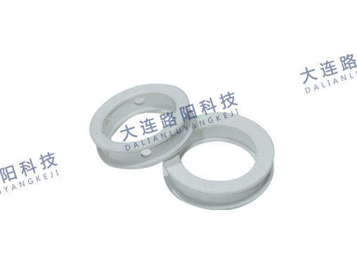 水封环1
