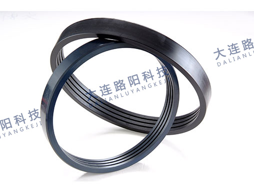 口环密封Mouth ring seal