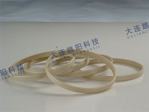 唇形密封 Lip seal    