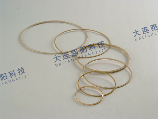 挡圈 Check ring
