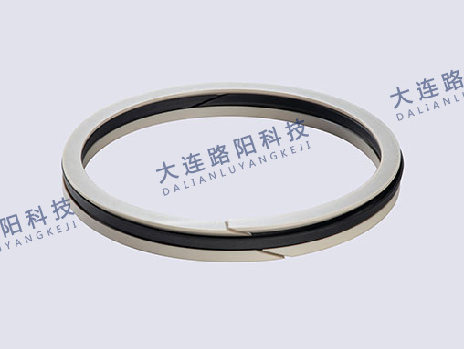 挡圈 Check ring