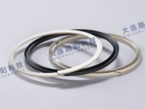 挡圈 Check ring