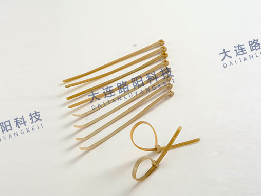 扎带 PEEK tie